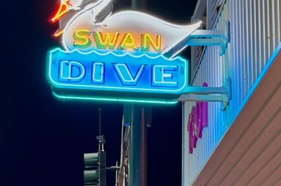 Swan Dive LV